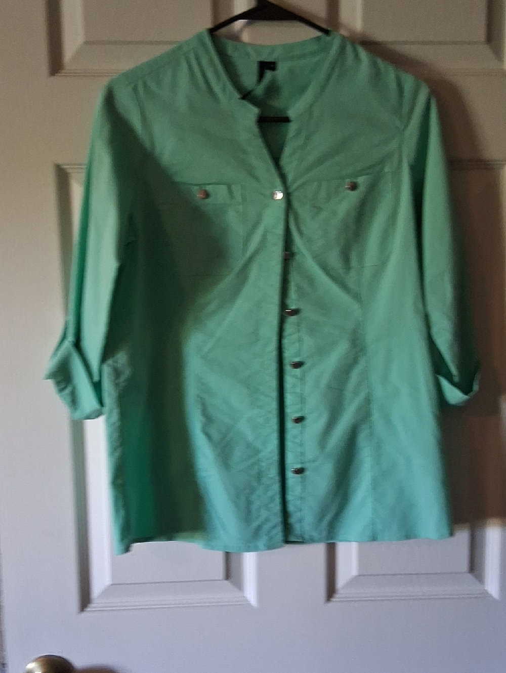 envy Mint Green Button-Front Roll Sleeve Shirt
